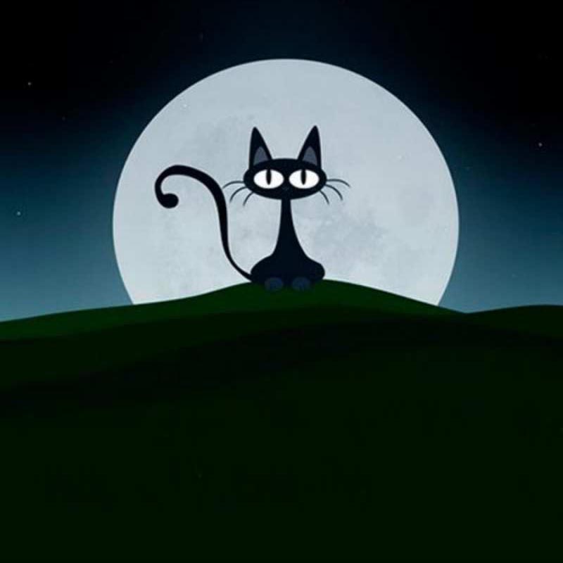 Открытка Черный кот на фоне луны желает сладких снов  хорошо выспаться ночью и без кошмаров   